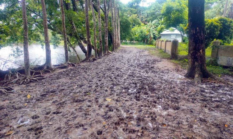 কাঁচা রাস্তার করুণ পরিণতি: মরদেহের খাটে করে হাসপাতালে নিতে হয় রোগীকে