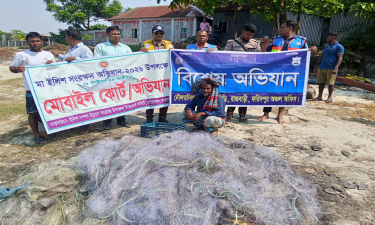 গোয়ালন্দে পদ্মায় নিষেধাজ্ঞা উপেক্ষা করে ইলিশ মাছ শিকার