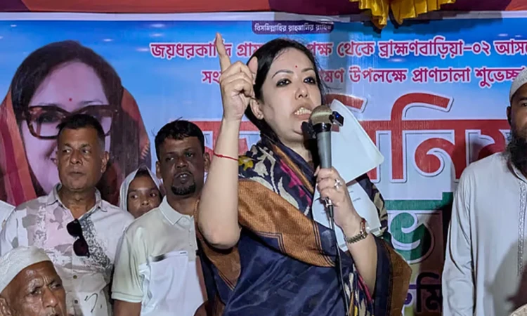 বালুচোর ও মামলাবাজ নিয়ে রাজনীতি করতে চাই না: রুমিন ফারহানা