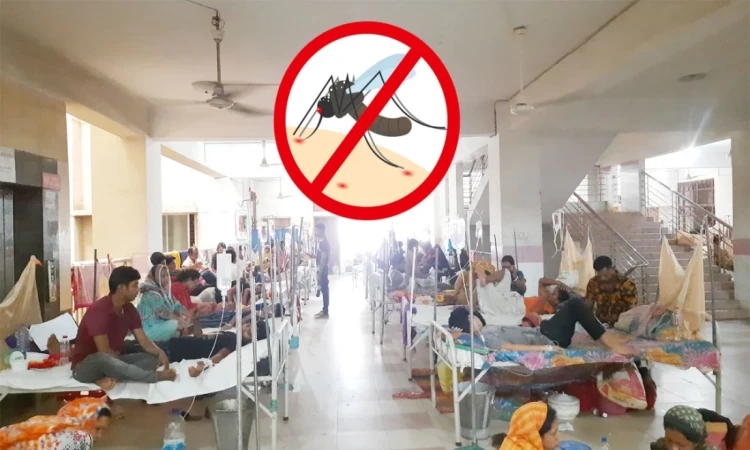 ২৪ ঘণ্টায় ডেঙ্গুতে আরও ৬ জনের মৃত্যু, ভর্তি ১,৮৯৮