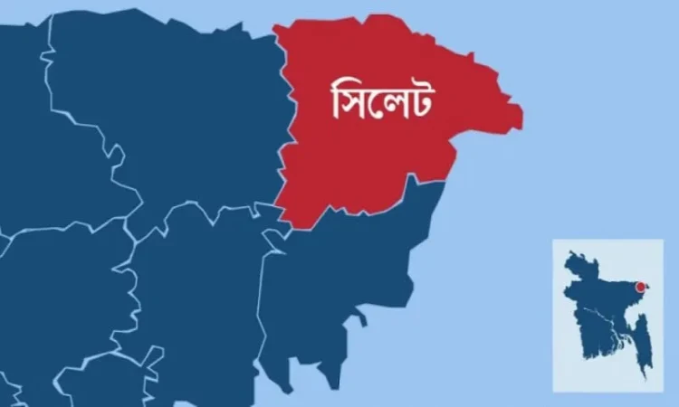 সিলেটে সম্পত্তি না দেওয়ায় ছেলের হামলায় মায়ের মৃত্যু, আহত ৪