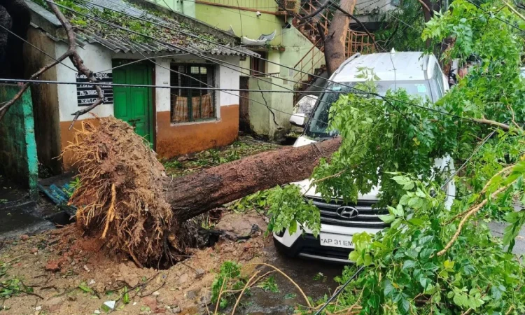 ঘূর্ণিঝড় অর্ণবের তাণ্ডবে লণ্ডভণ্ড অন্ধ্র প্রদেশ, নিহত ৫