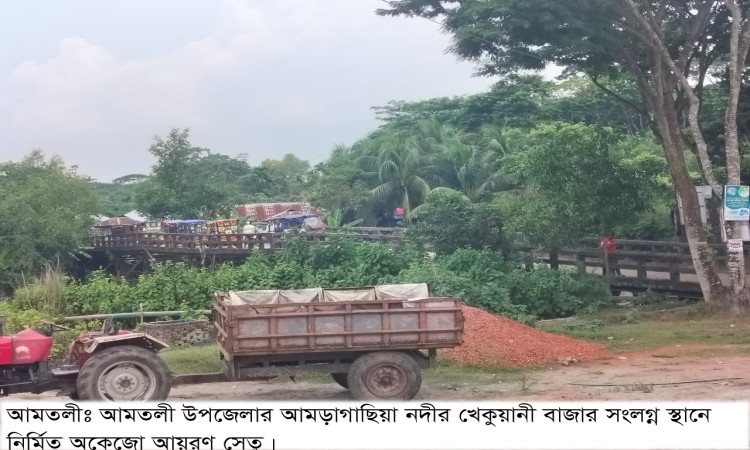 ১৬ বছর ধরে জীবনের ঝুঁকি: আমতলীতে দ্রুত গাডার সেতু নির্মাণের তাগিদ ভুক্তভোগীদের